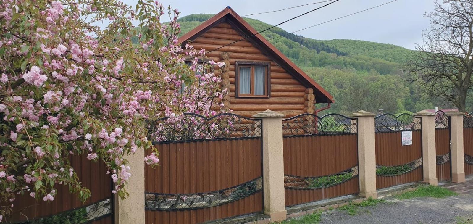 Smerekovyi Dvir Поляна